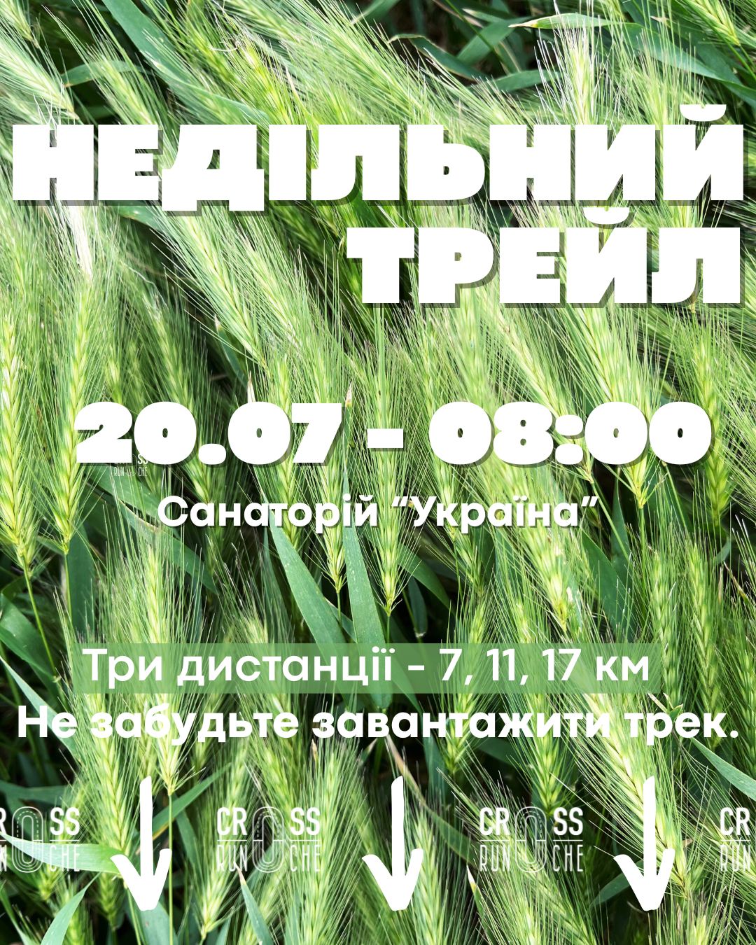 Стежками літа