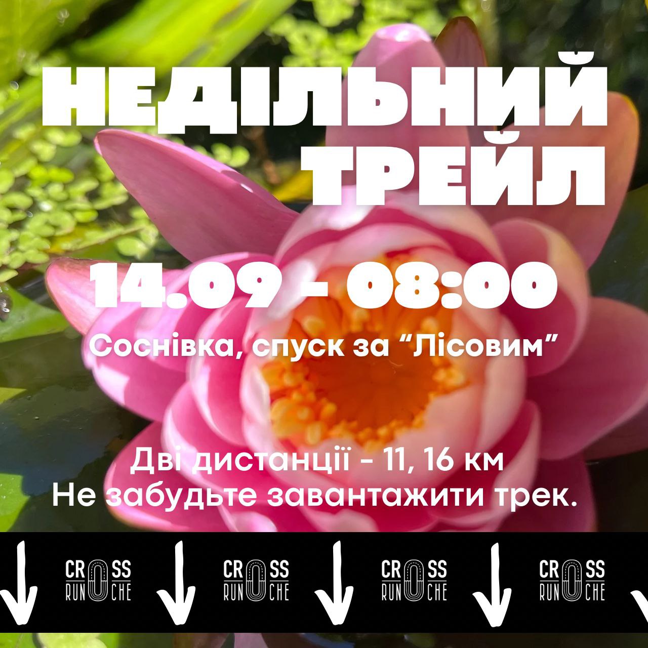 2 Неділя вересня